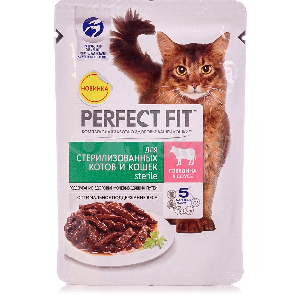 Скидка 15% на корма для кошек